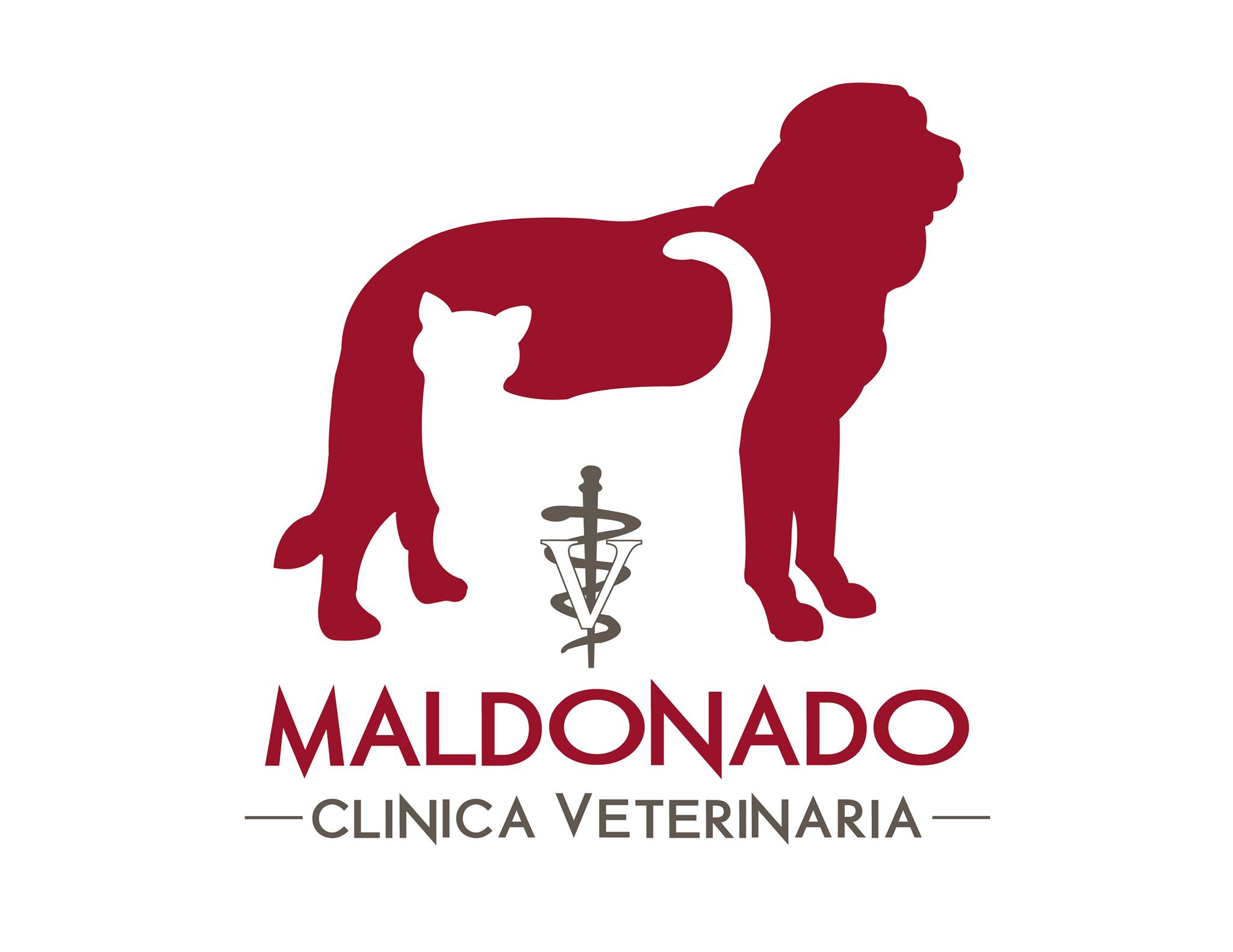 Veterinaria Daniel Maldonado